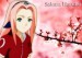 Sakura_Haruno_by_kinga_saiyans